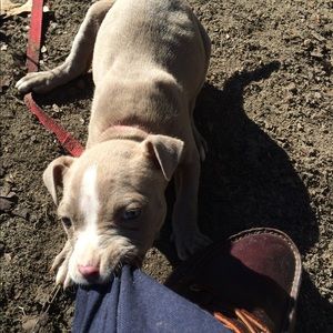 Meet your Posher, Simon